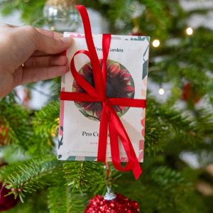 Blomsterfrön för nybörjaren