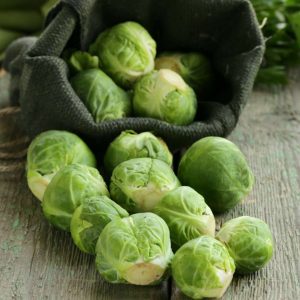 Brysselkål 'Groninger' (BIO frö)