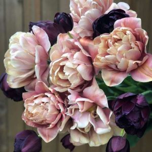 'Nadjas' tulpanblandning